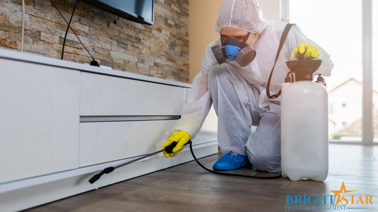 Book Pest control services in Abu Dhabi at Cheap Price