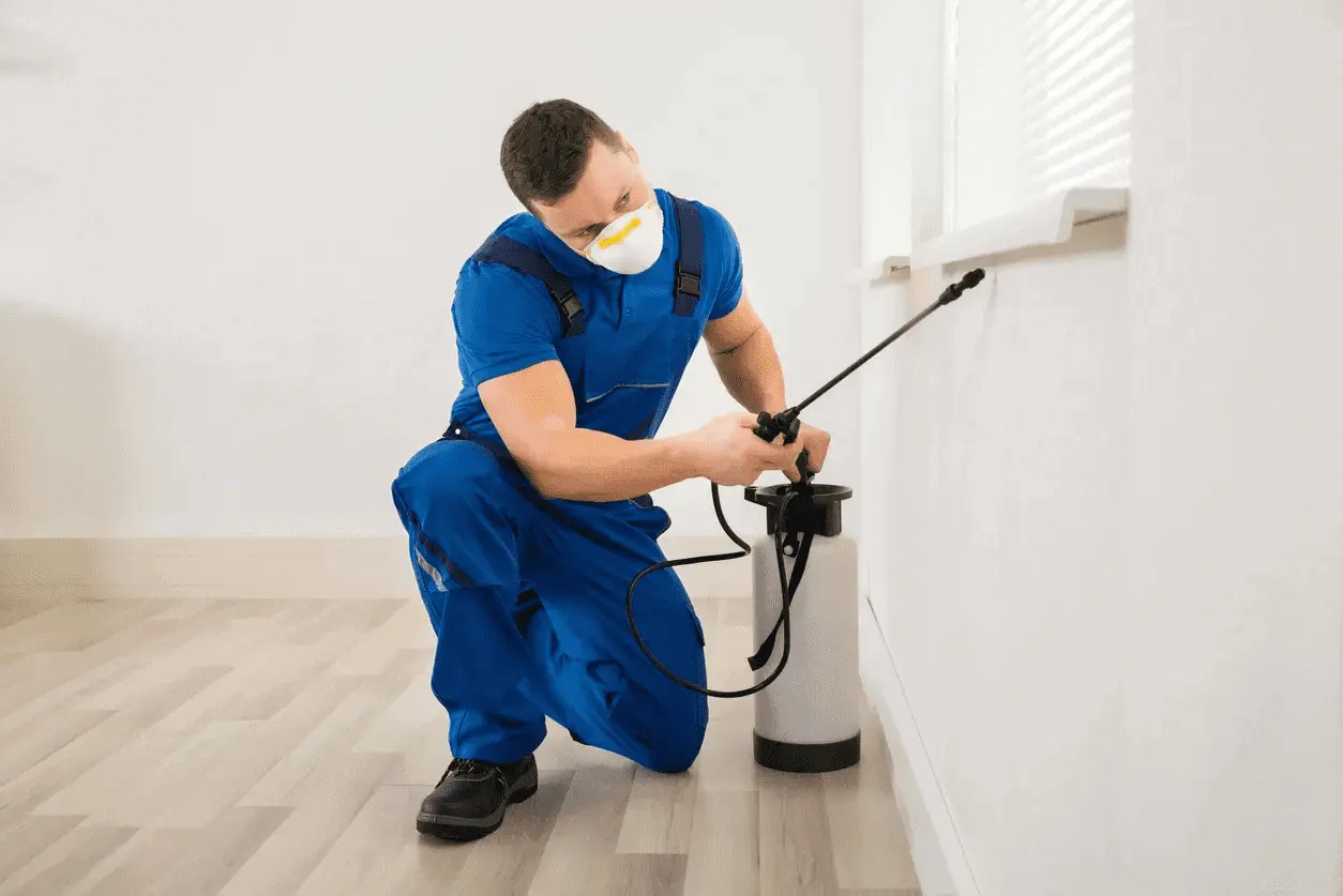 deep cleaning services in abu dhabi